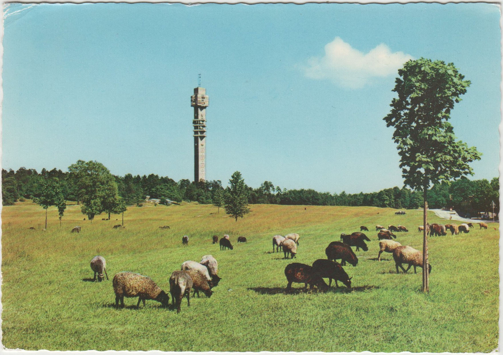 Djurgarden_Kaknastornet_Ultra_1977.jpg