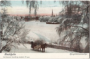 Djurgarden_Djurgardsbrunnsviken_Axel_Eliasson.jpg