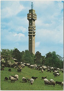 Djurgarden_Kaknastornet_Ehrlings_54.jpg