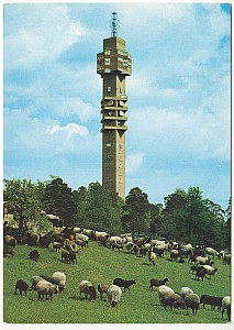 Djurgarden_Kaknastornet_Ehrlings_68a.jpg