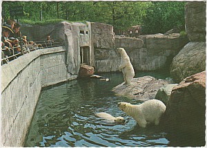 Djurgarden_Skansen_Bjornar_Ultra_U3_1967.jpg