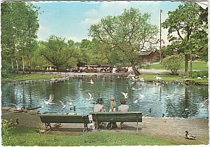 Djurgarden_Skansen_Karpdammen_Ultra_U5.jpg