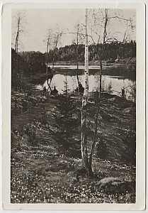 Djurgarden_Waldemarsudde_Varen.jpg