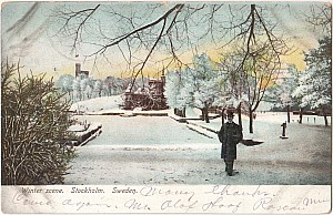 Djurgarden_Winter_Scene_1908.jpg