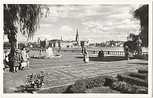 Kungsholmen_Stadshuset_Tradgarden_Pressbyran_701037_1955.jpg
