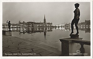 Kungsholmen_Stadshuset_Tradgarden_Utsikt_Nordisk_Konst_6002_37.jpg