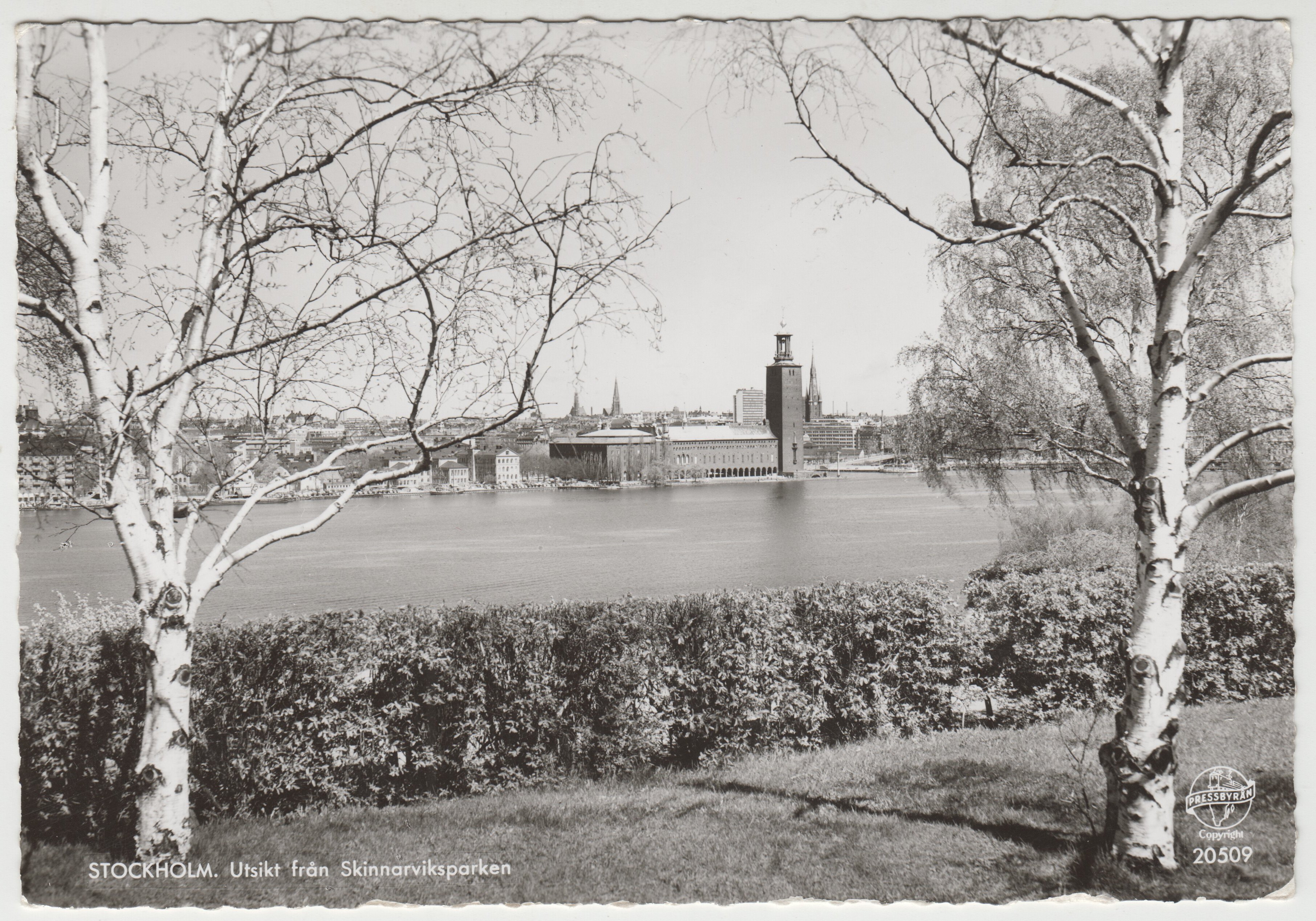 Sodermalm_Utsikt_Skinnarviksparken_Pressbyran_20509_1960.jpg
