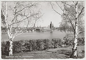 Sodermalm_Utsikt_Skinnarviksparken_Pressbyran_20509_1960.jpg