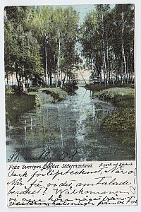 bjorkvik_a_parti_1903.jpg