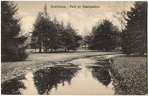 040_eskilstuna_bw_parti_stadsparken.jpg