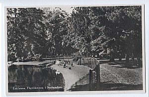 051_eskilstuna_fageldamm_kortvarulaget_77_1930.jpg