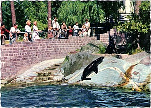 062_eskilstuna_farg_parken_zoo_grafisk_konst_66_18_1972.jpg