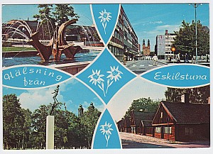134_eskilstuna_multi_scankort_2501.jpg