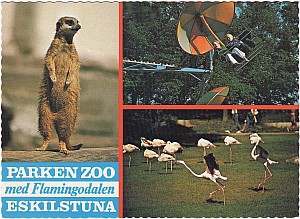 160_eskilstuna_parken_multi_lindeberg_19-12.jpg