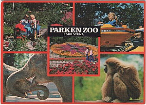 161_eskilstuna_parken_multi_lindeberg_19-9.jpg