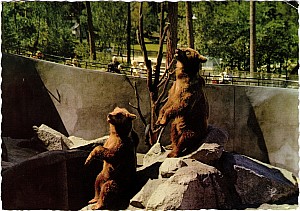 174_eskilstuna_parken_zoon_bjornar_ultra.jpg