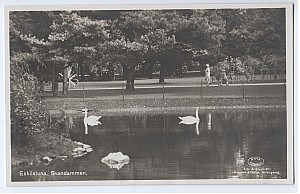 206_eskilstuna_svandammen_alwqvist_och_coster.jpg