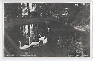 207_eskilstuna_svandammen_calegi_8019.jpg