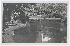 208_eskilstuna_svandammen_nk_6002-16.jpg