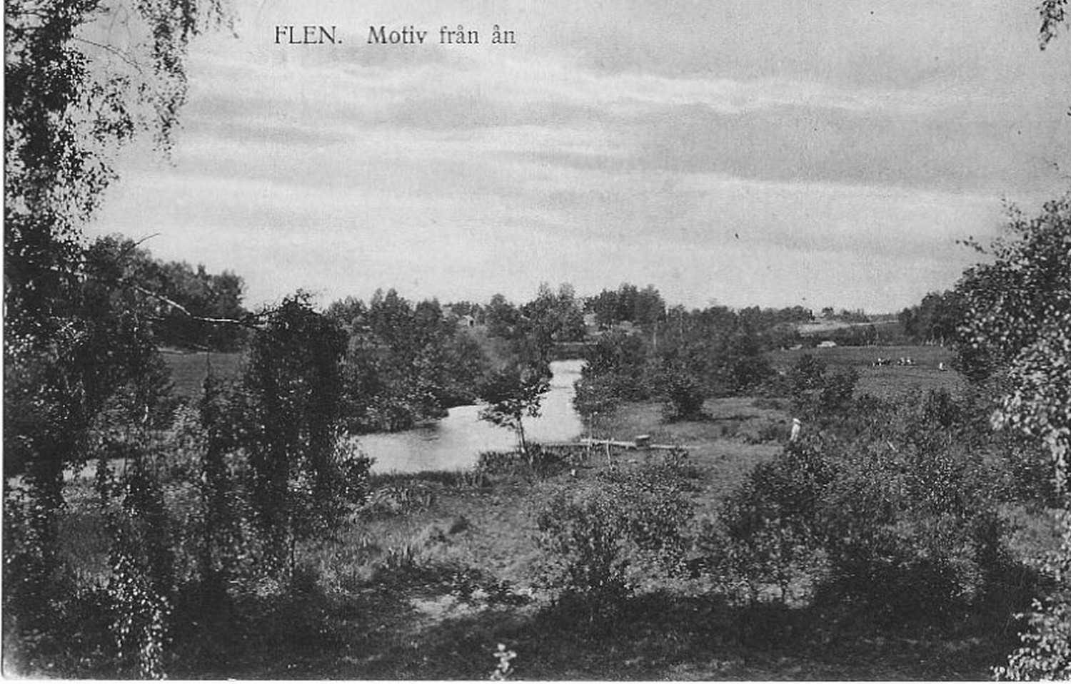 Img156.jpg