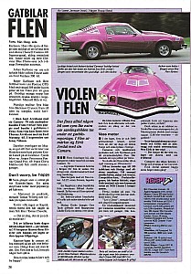 Flen sid 26.jpg