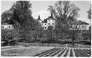 Img036.jpg