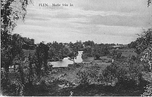 Img156.jpg