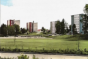Img174.jpg