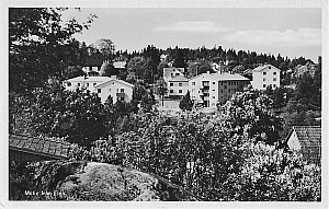 Img196.jpg