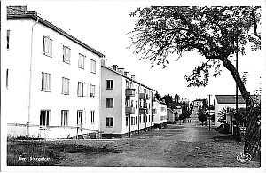 Img210.jpg