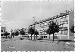 Img212.jpg