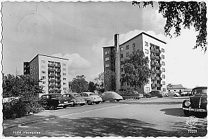 Img213.jpg
