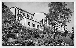 Img217.jpg