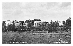 Img219.jpg