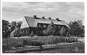 Img222.jpg