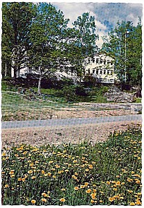 Img227.jpg