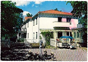 Img228.jpg