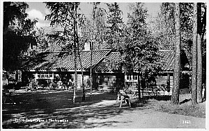 Img231.jpg