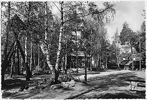 Img234.jpg