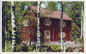 Img235.jpg