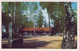 Img237.jpg