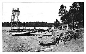 Img242.jpg