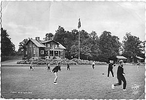 Img246.jpg