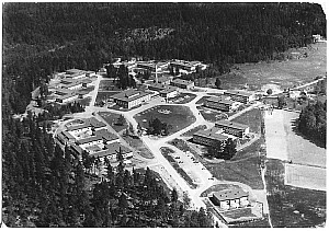 Img250.jpg