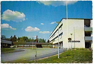Img253.jpg