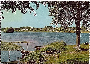 Img254.jpg