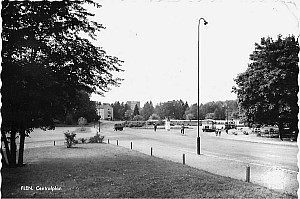 Img266.jpg