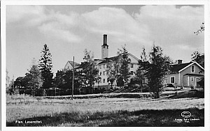 Img270.jpg