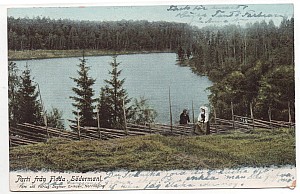 flodafors parti dagmar eriksen1903.jpg