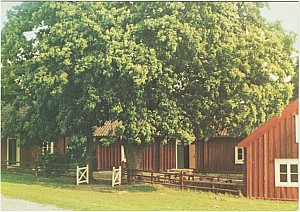 gnesta_scoutgarden_unichrome_1985.jpg